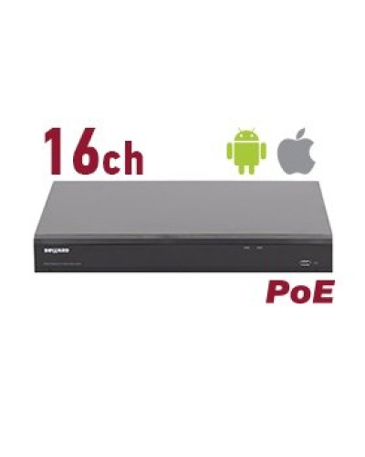 RK2216-P. Видеорегистратор IP 16-канальный. Beward в Нижнем Новгороде
