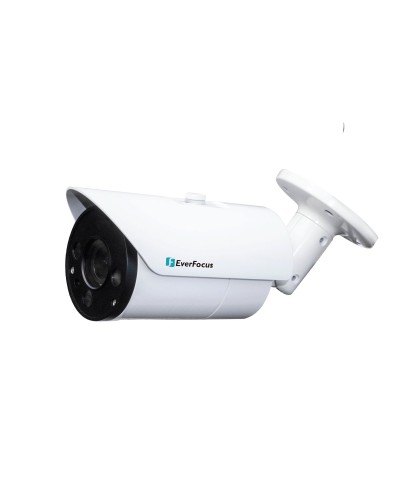 EZN-268V. Видеокамера IP купольная. EverFocus в Нижнем Новгороде