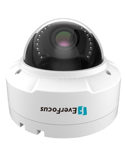 EHN-1250. Видеокамера IP купольная. EverFocus в Нижнем Новгороде