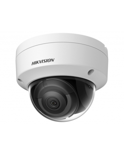 DS-2CD2123G2-IS(4мм)(D). Профессиональная видеокамера IP купольная. Hikvision в Нижнем Новгороде