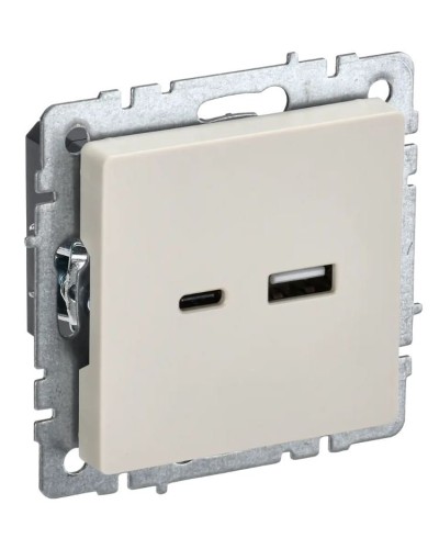 Розетка USB A+C 18Вт РЮ11-1-БрКр бежевый BRITE (BR-U22-018-K10). Розетка USB. IEK в Нижнем Новгороде