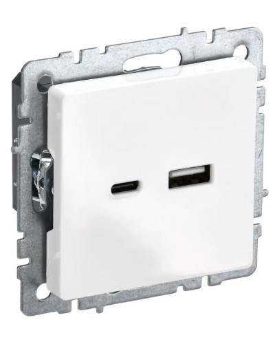 Розетка USB A+C 18Вт РЮ11-1-БрБ белый BRITE (BR-U22-018-K01). Розетка USB. IEK в Нижнем Новгороде