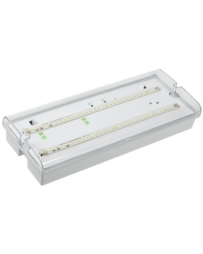 Светильник аварийный ДПА 5042-1 1ч IP65 LIGHTING (LDPA0-5042-1-65-K01). Светильник аварийный универсальный. IEK в Нижнем Новгороде