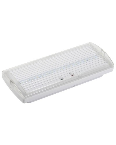Светильник аварийный ДПА 5030-1 1ч IP20 LIGHTING (LDPA0-5030-1H-K01). Светильник аварийный постоянного действия. IEK в Нижнем Новгороде