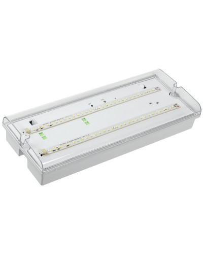 Светильник аварийный ДПА 5042-3 3ч IP65 LIGHTING (LDPA0-5042-3-65-K01). Светильник аварийный универсальный. IEK в Нижнем Новгороде
