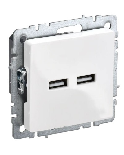 Розетка USB A+A 3,1А РЮ10-1-БрБ белый BRITE (BR-U21-D31-K01). Розетка USB. IEK в Нижнем Новгороде