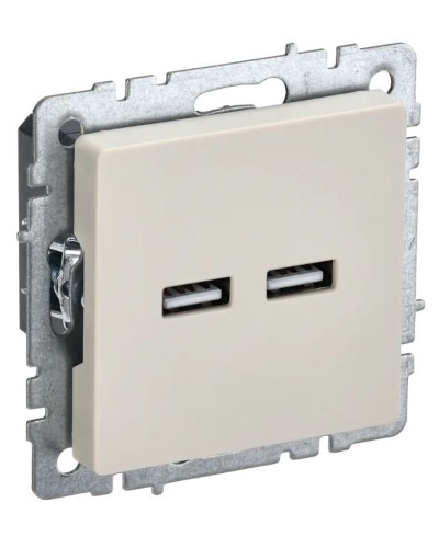 Розетка USB A+A 3,1А РЮ10-1-БрКр бежевый BRITE (BR-U21-D31-K10). Розетка USB. IEK в Нижнем Новгороде