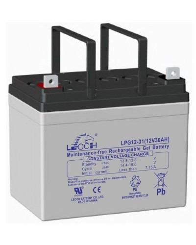 LEOCH LPG 12-31. Аккумулятор герметичный свинцово-кислотный. LEOCH в Нижнем Новгороде