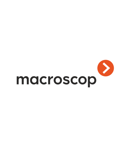 Расширение с LS до ST. Программное обеспечение (опция). MACROSCOP в Нижнем Новгороде