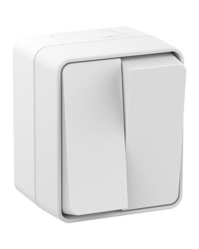 AtlasDesign PROFI54 выключатель 2-клавишный, открытой установки, белый (ATN540151). Выключатель. Systeme Electric в Нижнем Новгороде