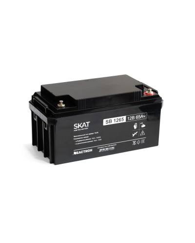 SKAT SB 1265 (2541). Аккумулятор герметичный свинцово-кислотный. Бастион в Нижнем Новгороде