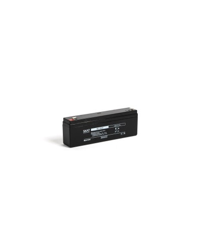 SKAT SB 12022 (2539). Аккумулятор герметичный свинцово-кислотный. Бастион в Нижнем Новгороде