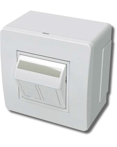 Коробка в сборе с 2 розетками RJ45, кат.5е, белая (10656): Коробка в сборе в Нижнем Новгороде