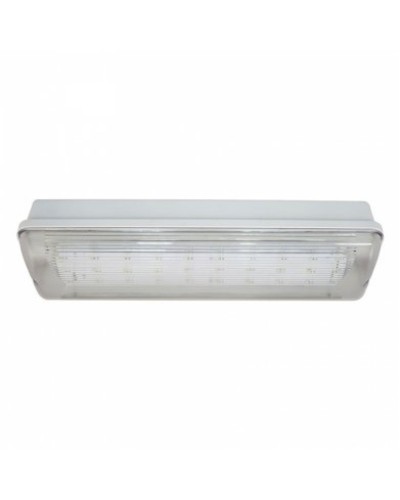 SL-213-30LED1.8 исп.1 IP54. Светильник аварийного освещения. ИП Раченков А.В. в Нижнем Новгороде