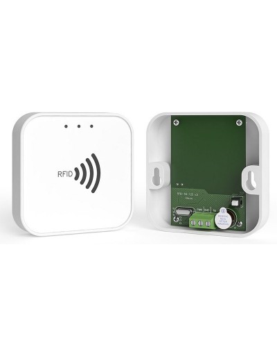 RFID-TM. Считыватель RFID. Ритм в Нижнем Новгороде