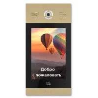 AA-14FB GOLD. Вызывная панель подъездного IP-домофона. BAS-IP