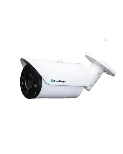 EZN-268V. Видеокамера IP купольная. EverFocus в Нижнем Новгороде