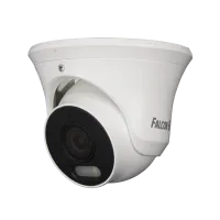 FE-IPC-D5-30pa. Видеокамера IP купольная. Falcon EYE