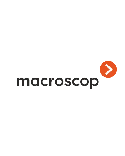 Расширение с LS до ST. Программное обеспечение (опция). MACROSCOP в Нижнем Новгороде