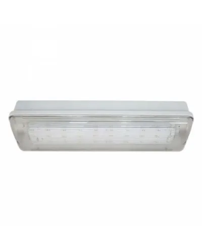 SL-223-30LED1.8 исп.1 IP54. Светильник аварийного освещения. ИП Раченков А.В. в Нижнем Новгороде