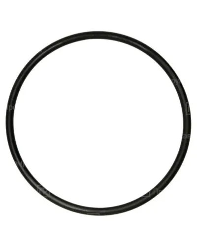 Кольцо резиновое уплотнительное для двустенной трубы D32 (PR08.5772). Кольцо резиновое уплотнительное для двустенной трубы. Промрукав в Нижнем Новгороде